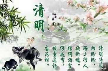 清明祭英烈 童心永向党——后河镇山孔小学清明节活动纪实