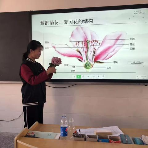 《核心素养下初中生物活动类作业设计与实践的研究》之标本制作篇