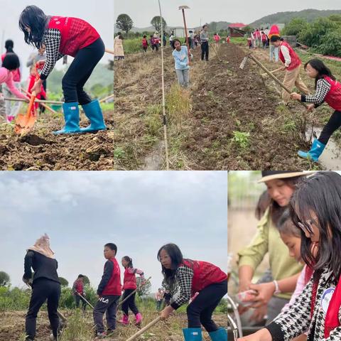 与绿植共成长——1802中队十二神兽小队植物养护实践活动