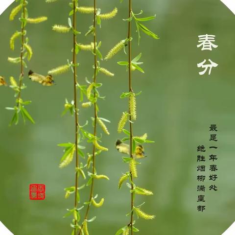 【小水滴·悦读】二十四节气｜春分