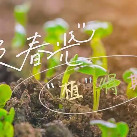 遇见春天，播种希望|小二班幼儿种植活动