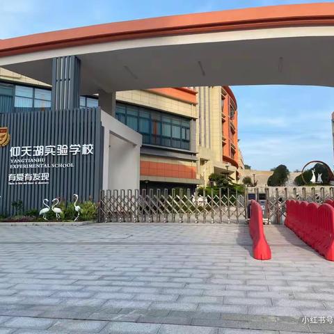 仰天湖实验学校硬笔书法社团