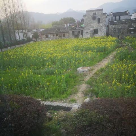 空山新雨后，学习意正浓——临沂七中高二美术生赴安徽屏山写生记（之五）