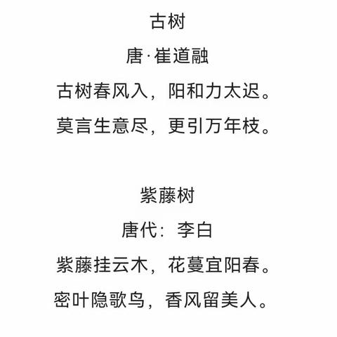 项目式主题研究         —记厚德外国语学校小学部植树节活动