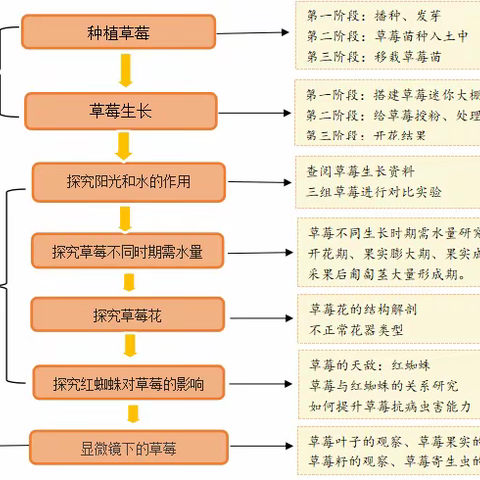 《跟我一起揭秘草莓》