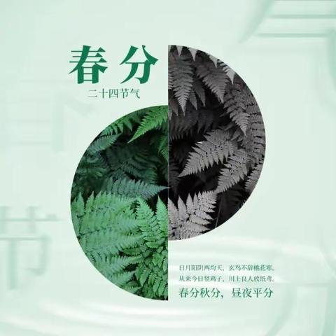 机关幼儿园中二班春分🌿主体活动