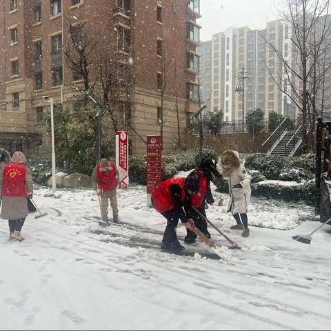 南河套村开展 “扫雪除冰暖人心”志愿服务活动