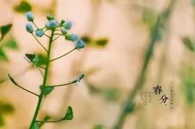 今天是春分哦！                        餐厅为大家提供的应季菜品