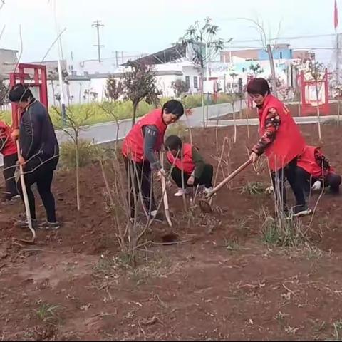 植树造林正当时，绿化美化添新彩