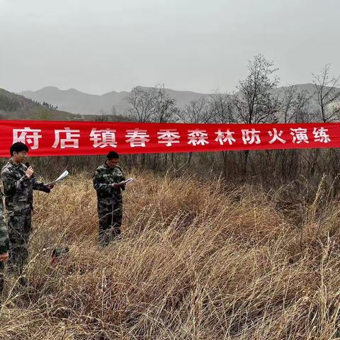 以练备战 府店镇开展春季森林防灭火演练