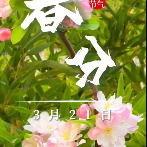 后发达附属幼儿园剑桥班——24节气“春分”