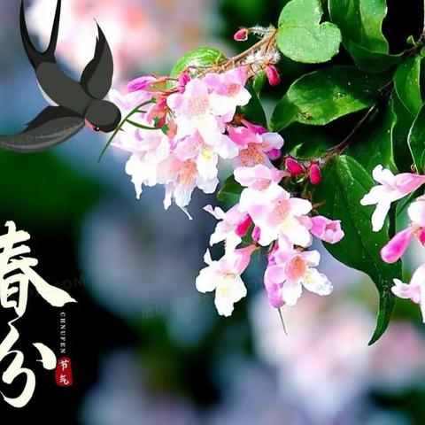 春天到啦！——城赵镇第二中心幼儿园二十四节气春分篇
