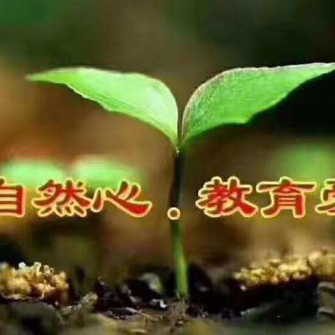 育智幼儿园中二班三月份主题活动《菜市场》----💕精彩瞬间（副本）