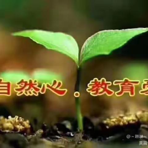 育智幼儿园中二班五月份主题活动《鱼儿水中游》----💕精彩瞬间