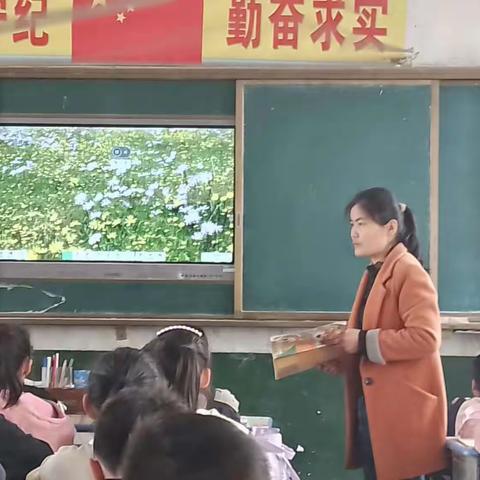 听课共交流，评课促成长———大王小学