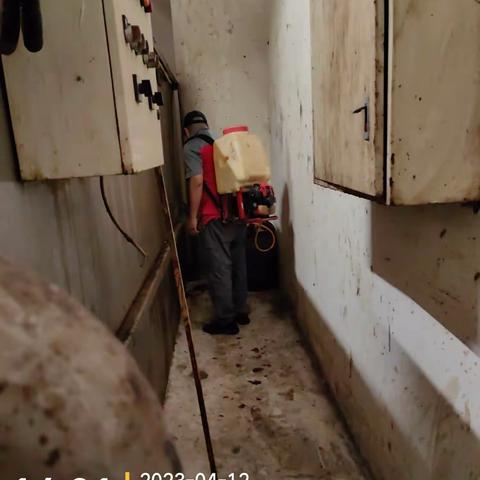 海棠湾免税店2023年(04月10日--04月19日)工作汇报