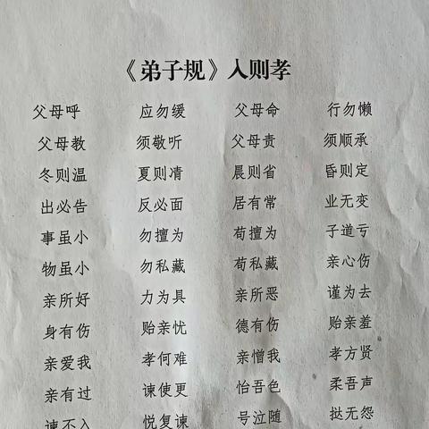 科学幼小衔接——周六托管