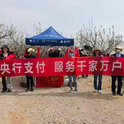 人行江川支行借江川“梨花节”开展支付清算知识宣传