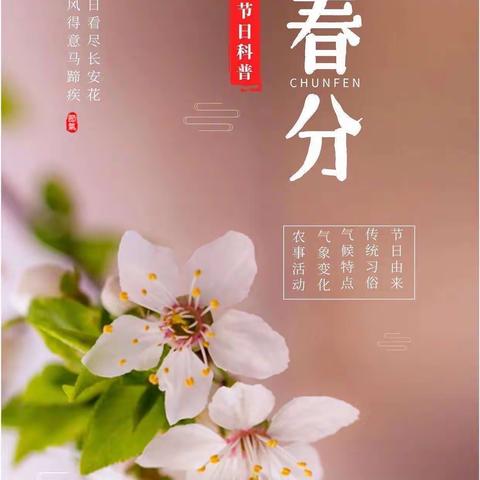 “乐在春天🌺里”——楼德镇幸福佳园幼儿园《星星✨一班》二十四节气之春分🌿