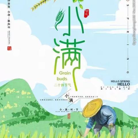 二十四节气——小满🌿