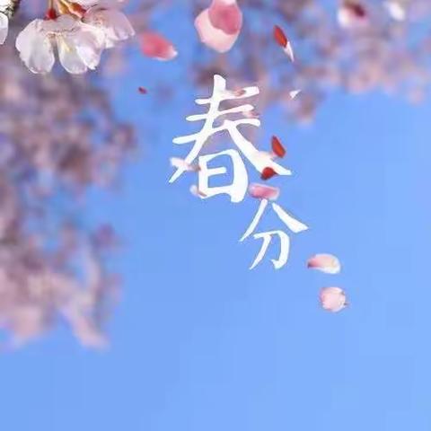 知节气 话春分——七彩中三班