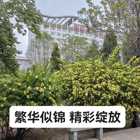 主动自查自改 建设平安校园