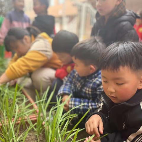 “食”之有味“育”之有慧｜小锦豆幼儿园跳一班生活馆课程