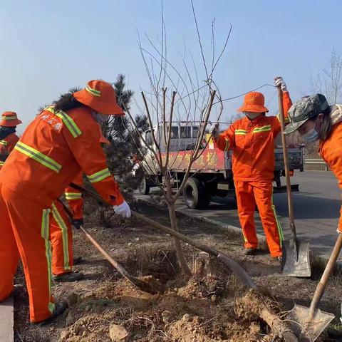 涉县国省干线公路路域环境整治