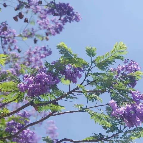 首届“繁华盛夏 与蓝相约”主题活动