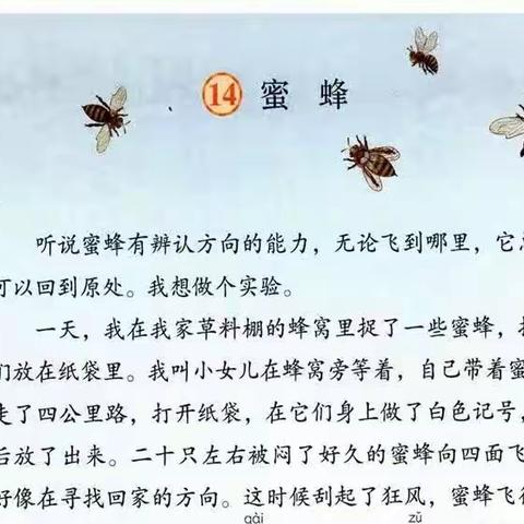 同课展风采   异构促提升——玉立实验小学三年级语文同课异构活动纪实