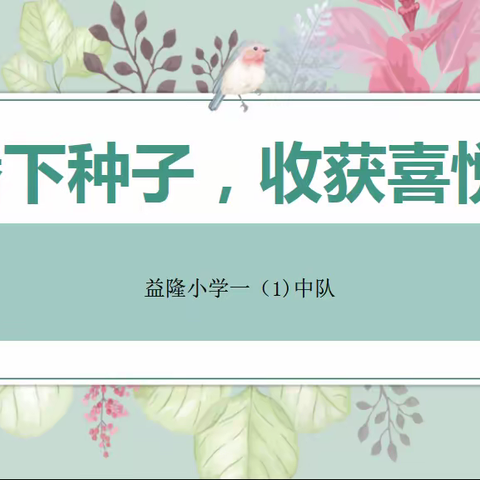 播下种子，收获喜悦——益隆小学一（1）中队开展综合实践活动