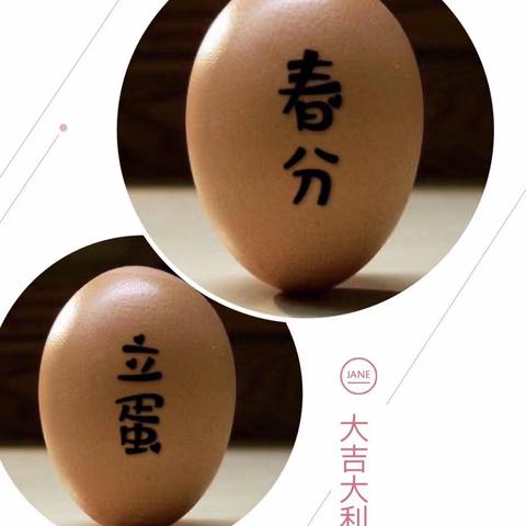 “立蛋🥚”，迎“春分”—宏幼十六班迎春分活动记录