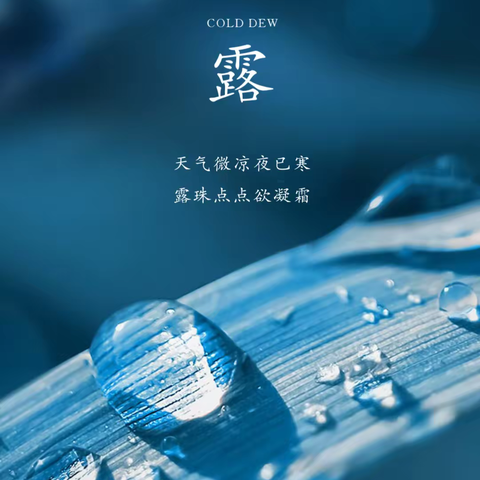 泊头市文庙学区冯口小学二十四节气“寒露”系列教育活动