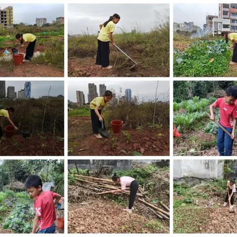 生活即教育，劳动促成长——容县容州镇第三小学五年级“红领巾爱劳动”实践活动