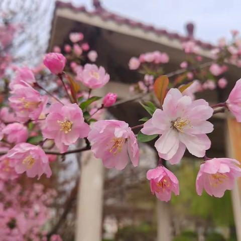 家校共育，爱在海川