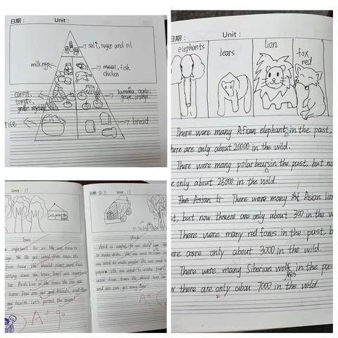 学有所思，行之有向﻿
