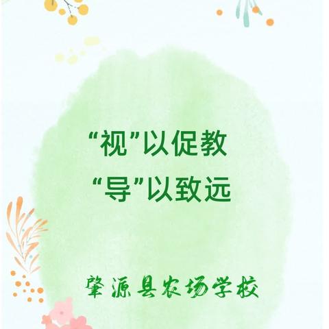 “视”以促教,“导”以致远——肇源县教育局、进修学校教学视导暖阳照耀农场小学