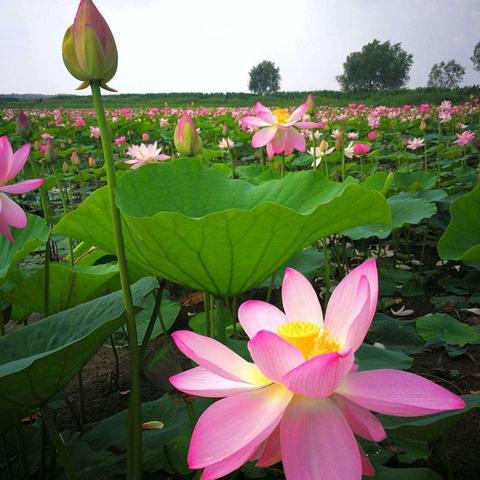 2023年7月22日相约美丽肇源