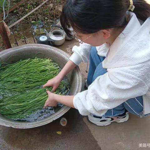 东马头小学双减简报