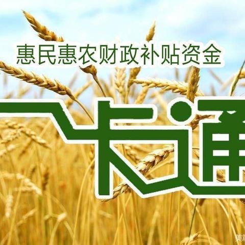 “一卡通”惠民惠农 直“通”民心 ——东风镇带您了解惠民惠农财政补贴资金“一卡通”