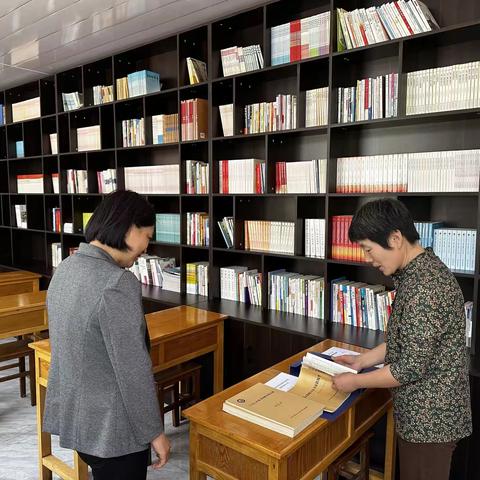 口镇文化站组织开展村级综合性文化服务中心、农家书屋专项检查