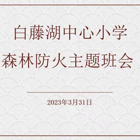 森林防火最关键，思想构筑防火线——白藤湖中心小学森林防火主题班会
