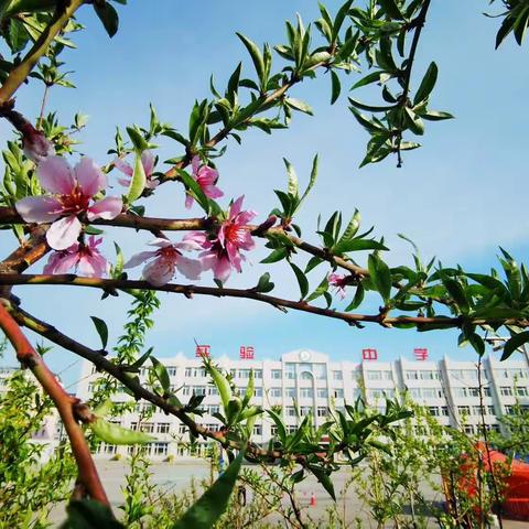 铸魂育人守初心，踔厉奋发担使命——通化市实验中学党员示范课