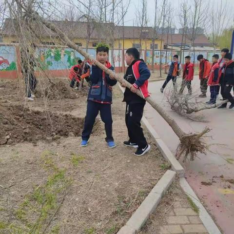 “植”此青绿，不负时光