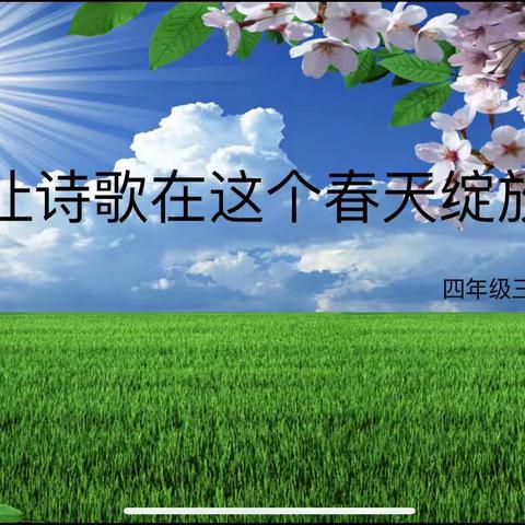 让诗歌在这个春天绽放——四年级三班诗集