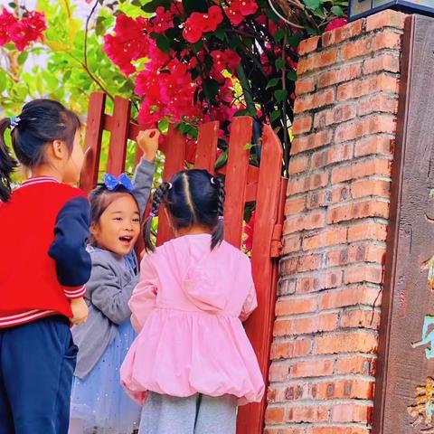 春分节气到🌿赶紧来报道🙋‍♀️——新岭南金彤幼儿园