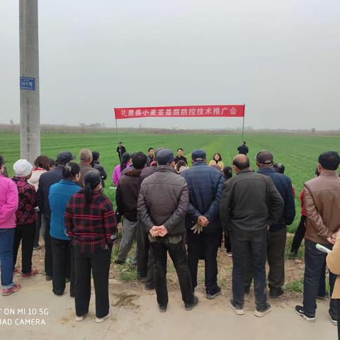 礼泉县召开小麦茎基腐病防控技术推广会