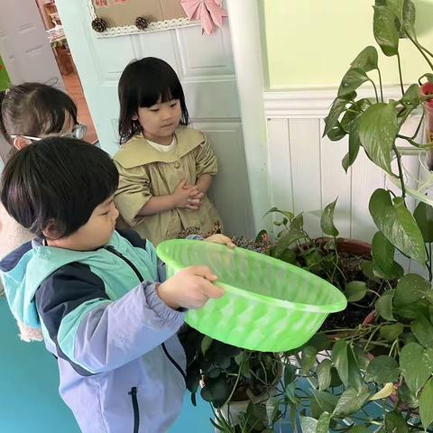 【活动】“节约用水  从我做起”县直幼儿园开展世界水日主题活动