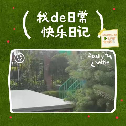 蜘蛛与蛛网——平罗五幼教育集团大三班项目课程（三）