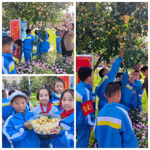 “我是勤劳的小泉娃”——温泉县城镇小学劳动教育系列十七——“丰收的喜悦”